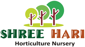 Shree-Hari-Horticulture-Nursery