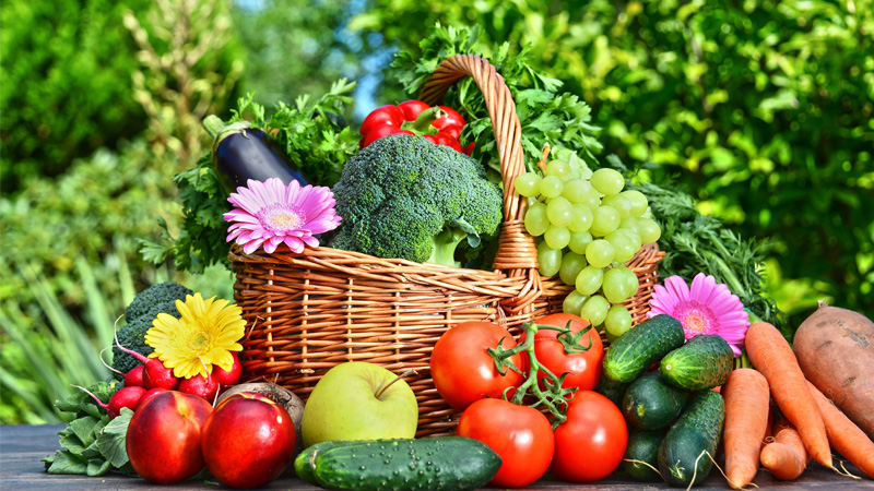 Horticulture-Fruit-Farm-Project