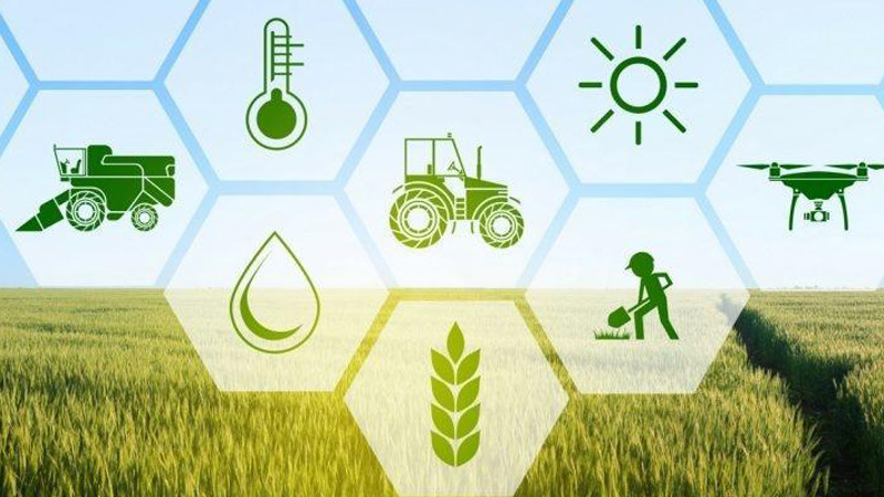 Farm-Land-Analytic-Report