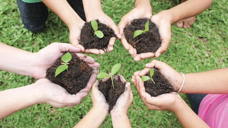 Organic-Farming